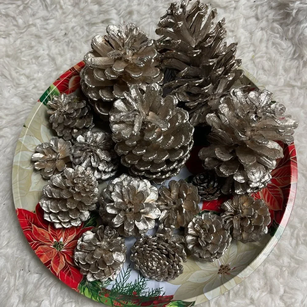 Set of 14 silvery gold Pine Cones 4,3,2” for  Holiday Home Decor